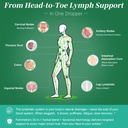 2-pack-liposomal-lymphatic-drainage-supp-4.jpg