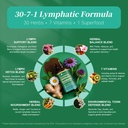2-pack-liposomal-lymphatic-drainage-supp-3.jpg