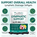 fanshi-2-pcs-lymphatic-drainage-suppleme-2.jpg