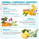 lymphatic-drainage-supplements-lymphatic-3.jpg