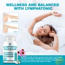 lymphatic-drainage-supplements-lymphatic-4.jpg