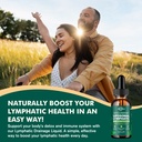 liposomal-lymphatic-drainage-liquid-drop-5.jpg