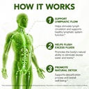 lymphatic-drainage-supplements-21-in-1-l-4.jpg