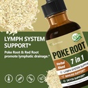 poke-root-drops-for-lymph-system-support-5.jpg