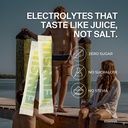 focus-caffeine-electrolyte-drink-mix-cog-5.jpg