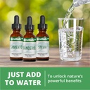 nutramedix-detox-set-3-piece-kit-with-se-4.jpg