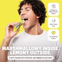 built-puff-protein-bars-lemon-meringue-p-5.jpg