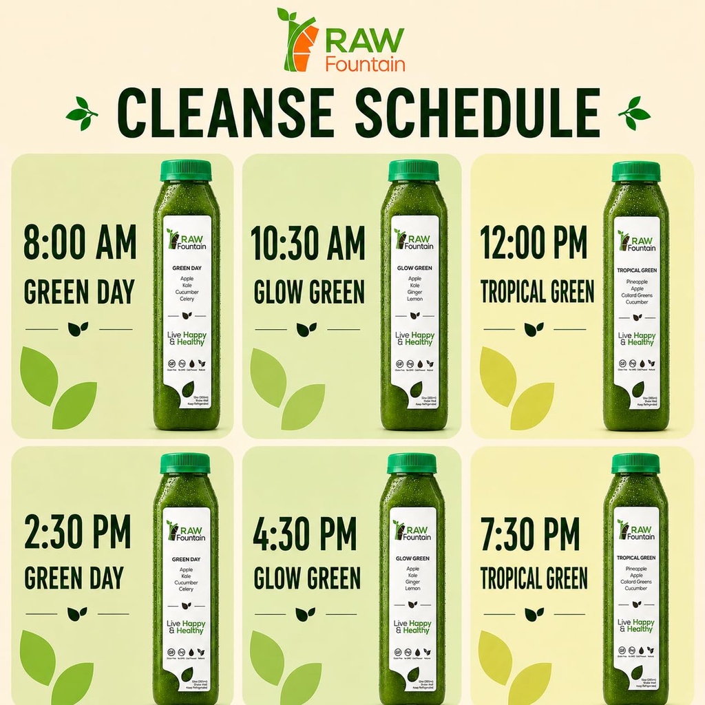 1-day-green-juice-cleanse-by-raw-fountai-4.jpg