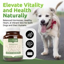 lignans-for-life-flaxseed-lignans-for-do-3.jpg