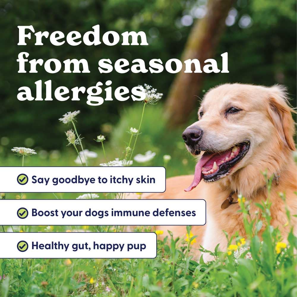 origin-labs-allergy-and-immune-support-s-2.jpg