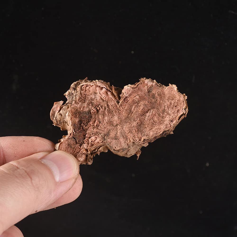 wild-rhodiola-rosea-root-slices-rhodiola-5.jpg