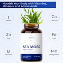 irish-sea-moss-capsules-with-bladderwrac-3.jpg