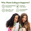 copina-co-matcha-beauty-vegan-collagen-b-5.jpg