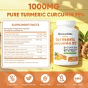 biorootlabs-turmeric-curcumin-supplement-2.jpg