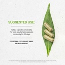 secrets-of-the-tribe-pine-pollen-testost-2.jpg