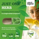 wild-organic-saw-palmetto-capsules-500-m-5.jpg