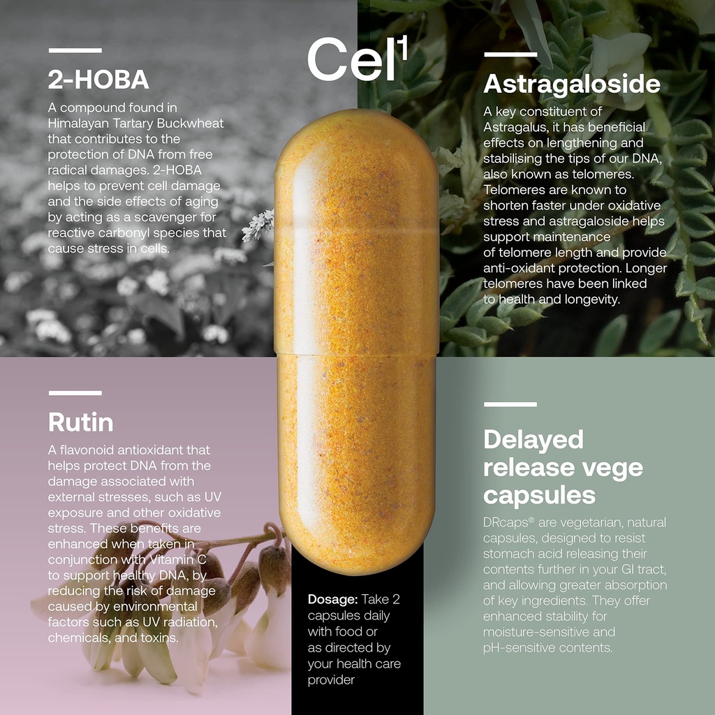 srw-laboratories-cel-stability-stem-cell-2.jpg