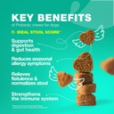 probiotics-for-dogs-gut-health-digestion-3.jpg