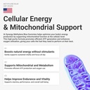 methylene-blue-gummies-5mg-supports-cogn-4.jpg