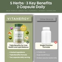 vitanergy-liver-health-lipid-balance-mil-4.jpg