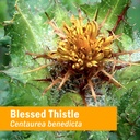 herb-pharm-certified-organic-blessed-thi-2.jpg