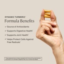 stonehenge-health-dynamic-brain-dynamic--6.jpg