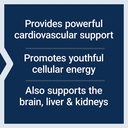life-extension-super-ubiquinol-coq10-wit-4.jpg
