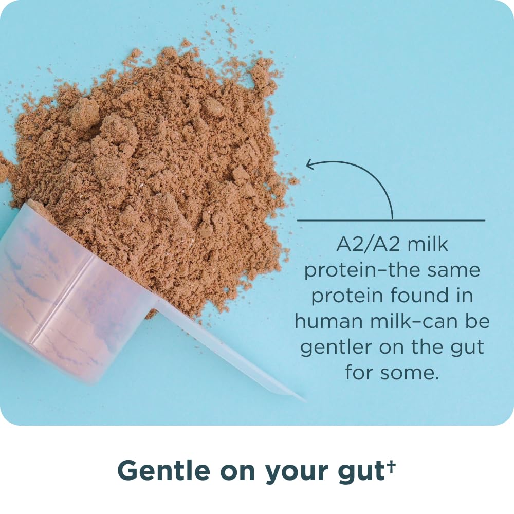 ancient-nutrition-grass-fed-whey-protein-5.jpg