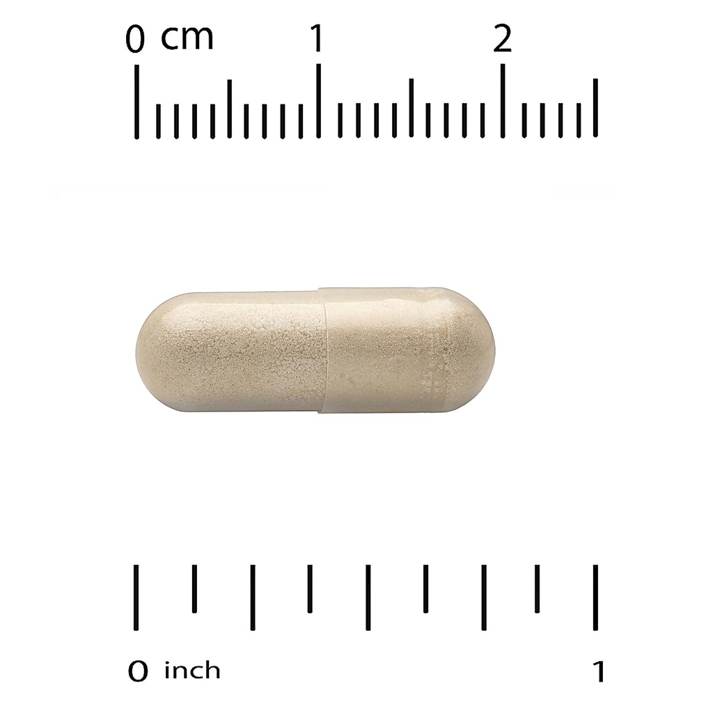 vitacost-synergy-milk-thistle-extract-30-3.jpg