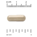 vitacost-synergy-milk-thistle-extract-30-3.jpg