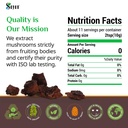 sayan-siberian-pure-raw-chaga-mushroom-c-6.jpg