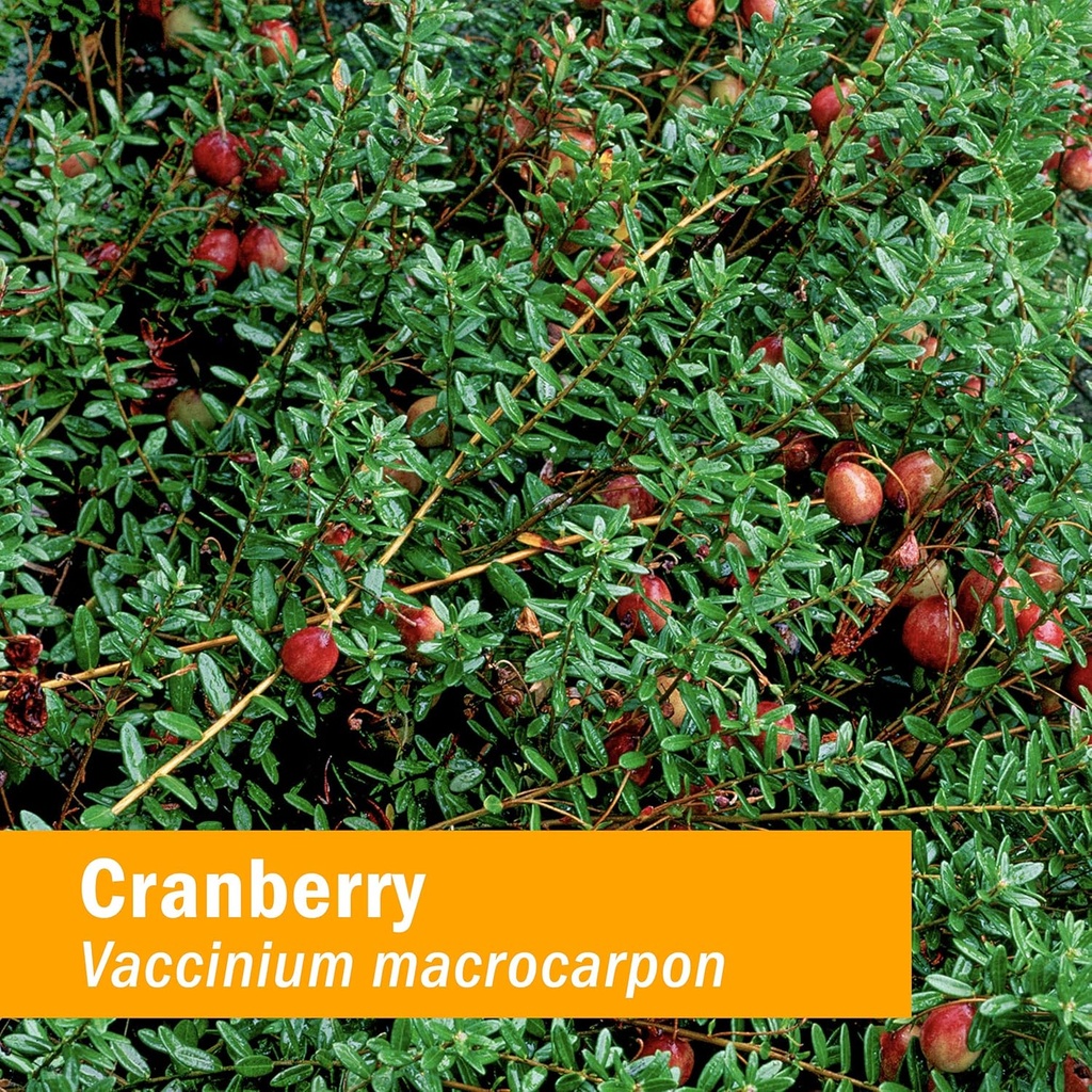 herb-pharm-certified-organic-cranberry-l-2.jpg