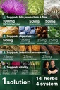 liver-cleanse-detox-repair-liver-guard-1-2.jpg