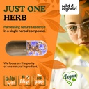 wild-organic-chicory-root-fiber-capsules-5.jpg