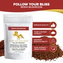 addictive-wellness-reishi-mushroom-extra-3.jpg