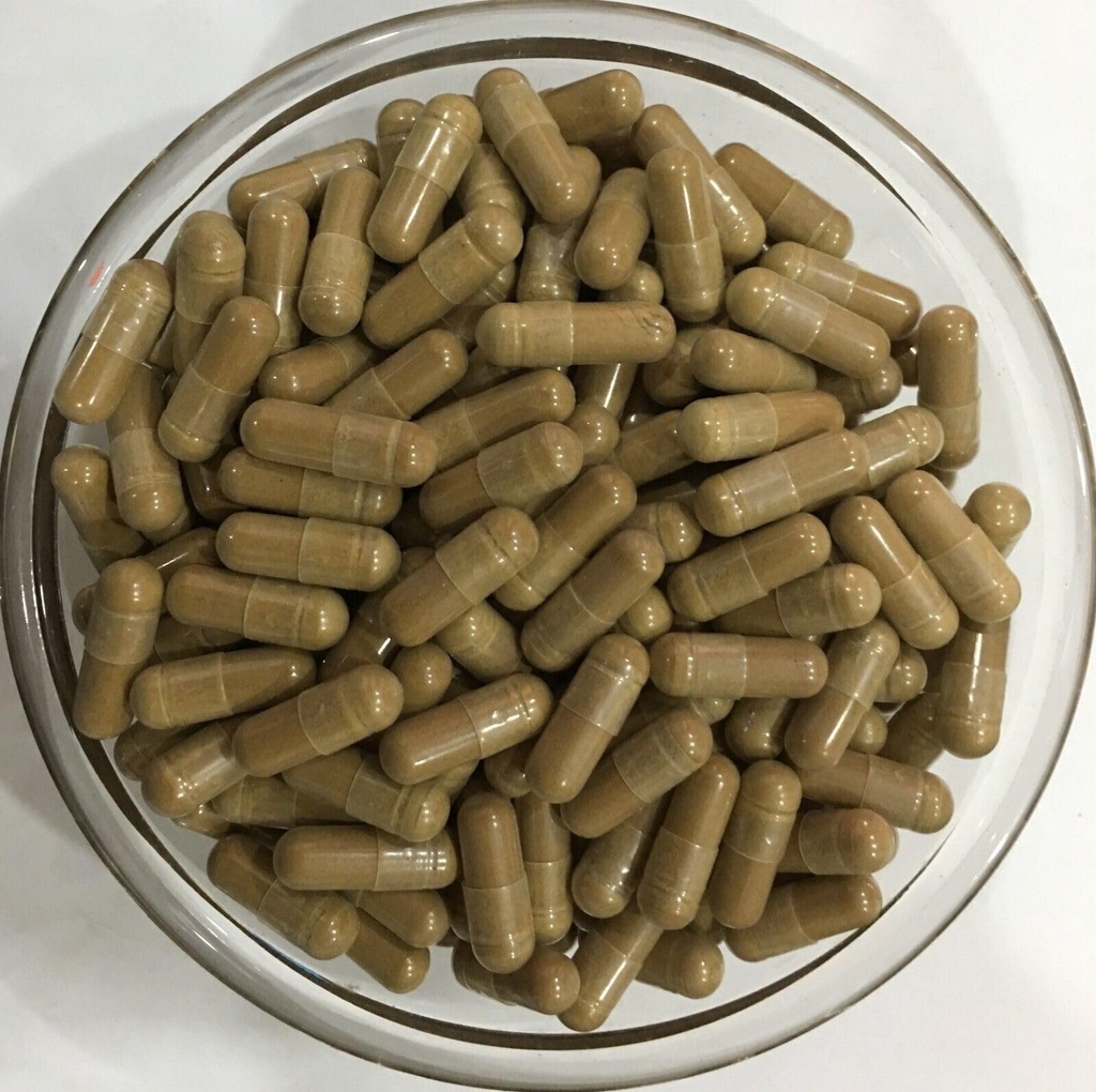 jujube-seed-extract-20-1-capsule-500mg-2-2.jpg
