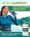 glp-1-supplement-100-billion-akkermansia-5.jpg