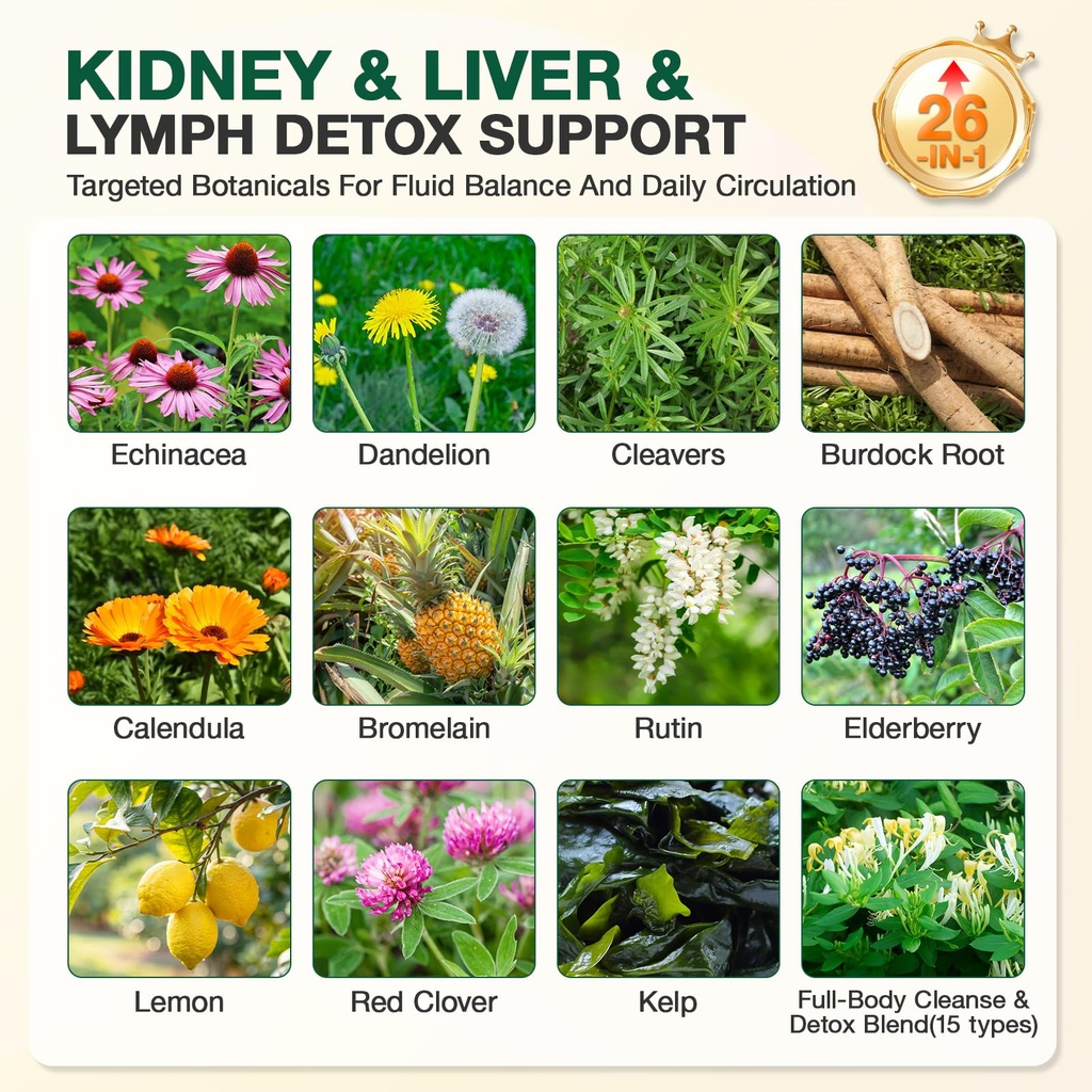 26-in-1-lymphatic-drainage-supplements-4-4.jpg