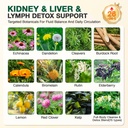 26-in-1-lymphatic-drainage-supplements-4-4.jpg