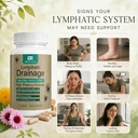 lymphatic-drainage-support-supplement-fo-6.jpg