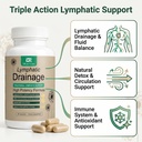 lymphatic-drainage-support-supplement-fo-5.jpg