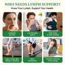 gornvb-lymphatic-drainage-drops-lymphati-5.jpg