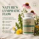 natural-lymphatic-drainage-supplement-su-3.jpg