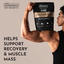 just-ingredients-snickerdoodle-protein-p-6.jpg