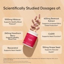 aonic-flow-healthy-blood-pressure-suppor-4.jpg