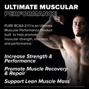 finaflex-pure-bcaa-2-1-1-watermelon-9-7--3.jpg