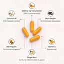 fineroot-organics-turmeric-curcumin-pure-4.jpg