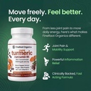 fineroot-organics-turmeric-curcumin-pure-3.jpg