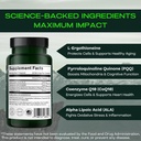 powerhouse-complex-supplement-for-mitoch-2.jpg