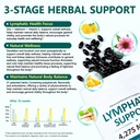 240-softgels-lymphatic-drainage-suppleme-5.jpg